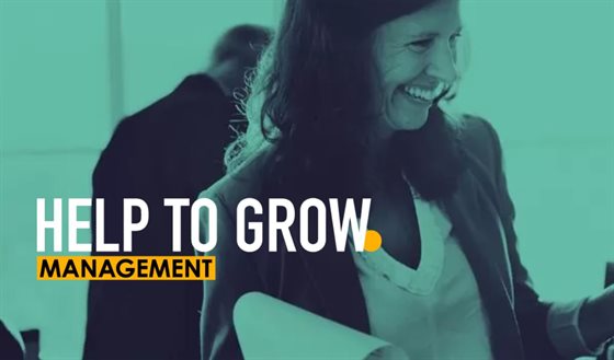 The Help to Grown management logo created by DMU for the project