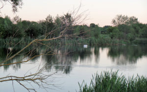 Photo of water at Irthlinburgh. The sun is setting and the water is reflecting the trees.