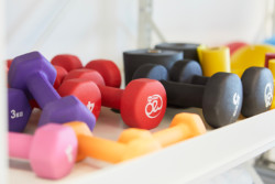 Colourful dumbbells ranging between 1kg and 5kg in purple, red, black, pink, and yellow.
