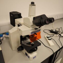 A compound laboratory microscope with dual eyepieces is placed on a lab bench next to power strips and electrical outlets.